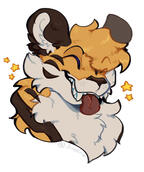 comm comm